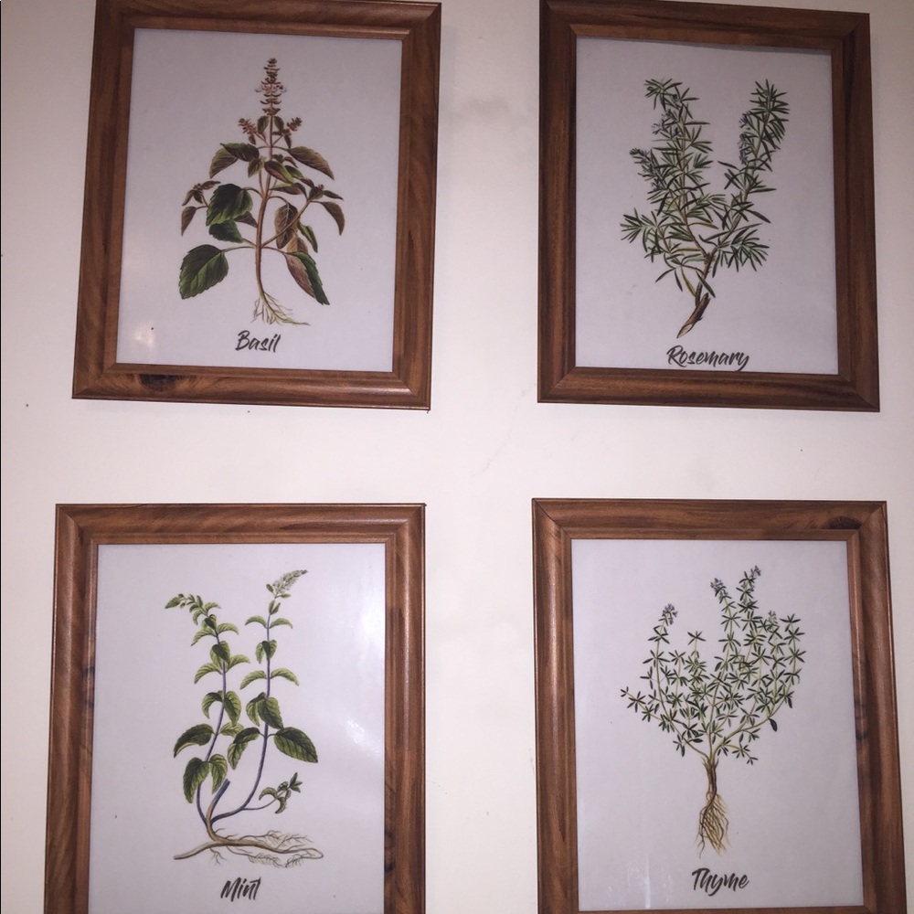 Herb prints and frame